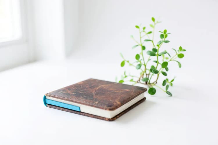 Um notebook fechado com uma planta crescendo ao lado, em fundo branco.