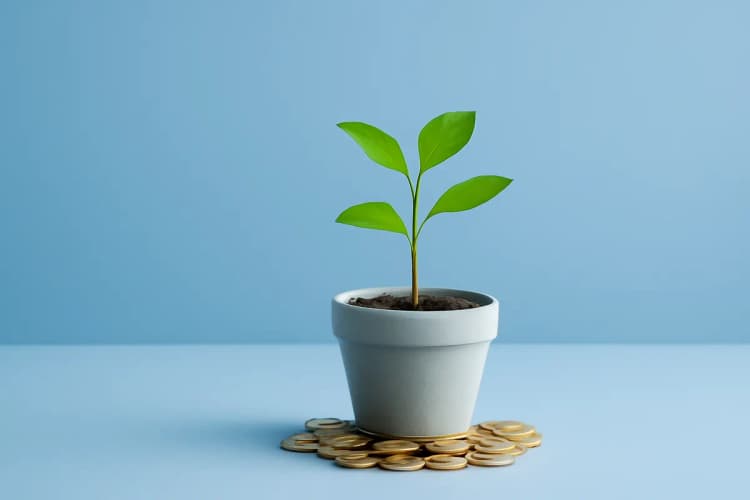 Uma planta crescendo em um vaso com moedas de ouro ao redor da base, em um ambiente de escritório iluminado.